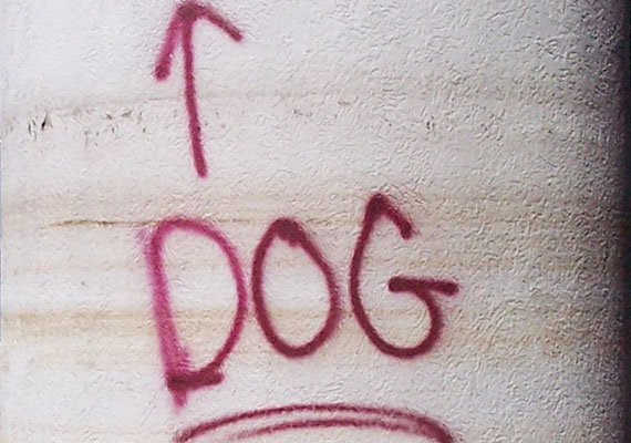 The play, co-written by Tim Maddock and Lotti Pharriss Knowles, chronicled Tim's experiences as an animal rescue volunteer in New Orleans, post Hurrican Katrina. The production was nominated for an LA Weekly Theater Award (Best Ensemble Cast) and two LA Stage Alliance Ovation Awards (World Premiere Play, Ensemble Performance).